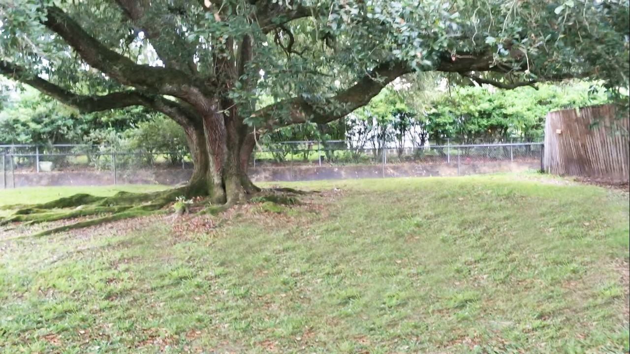 112 Fraternity Dr #MAIN - Photo 5 of 11