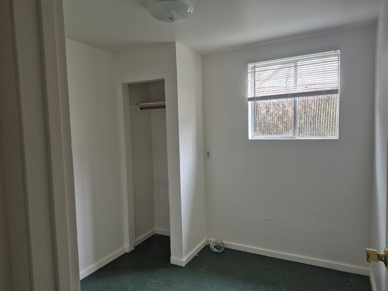 Galaxy - Photo 5 of 16