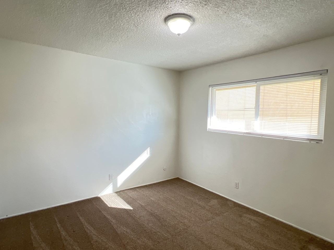 4236 Columbus St - Photo 7 of 12