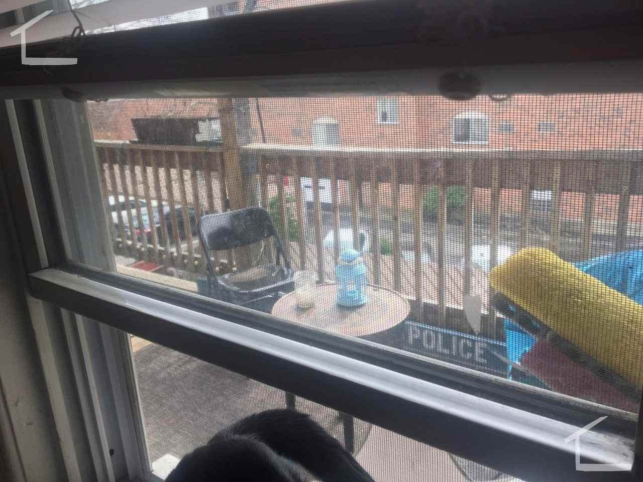 4 Ashford St - Photo 3 of 7