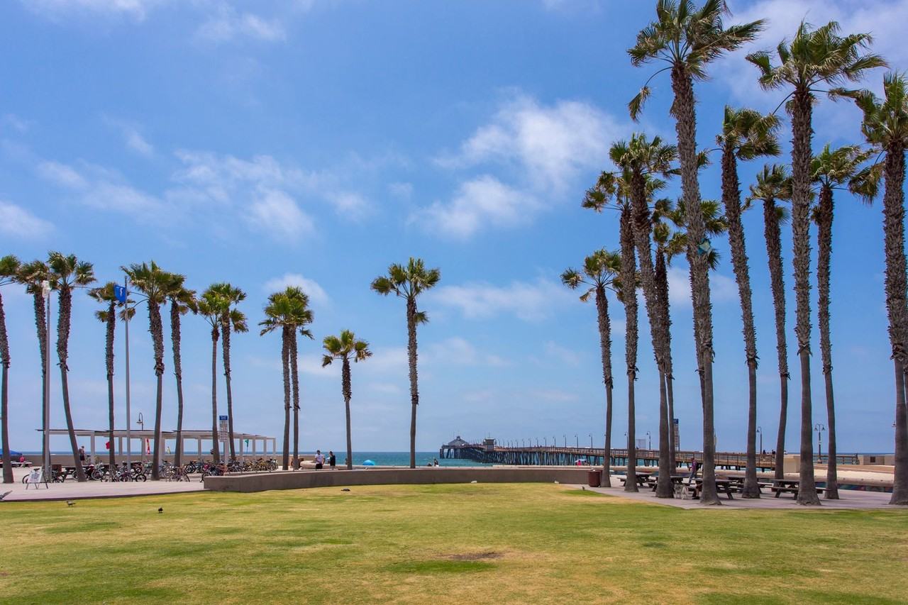 165 Daisy Ave - Photo 2 of 14