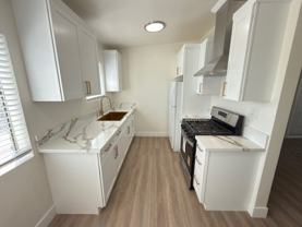 Orchid Pacific LP (21024) - Photo 1 of 1