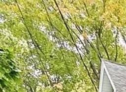 280 Matilda St - Photo 6 of 11