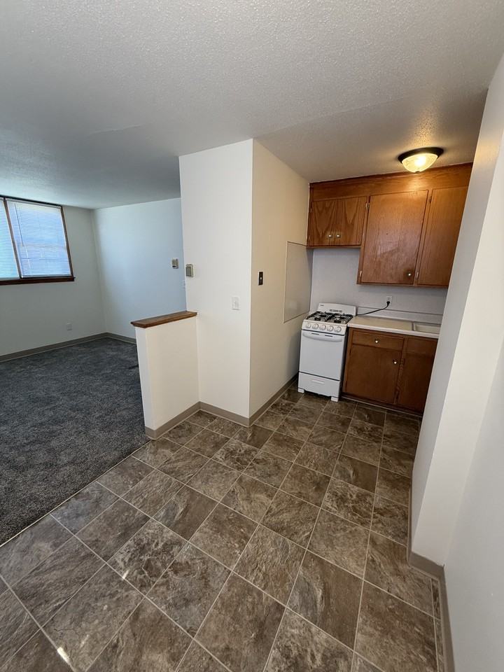 5121 University Ave Ne #204 - Photo 3 of 9