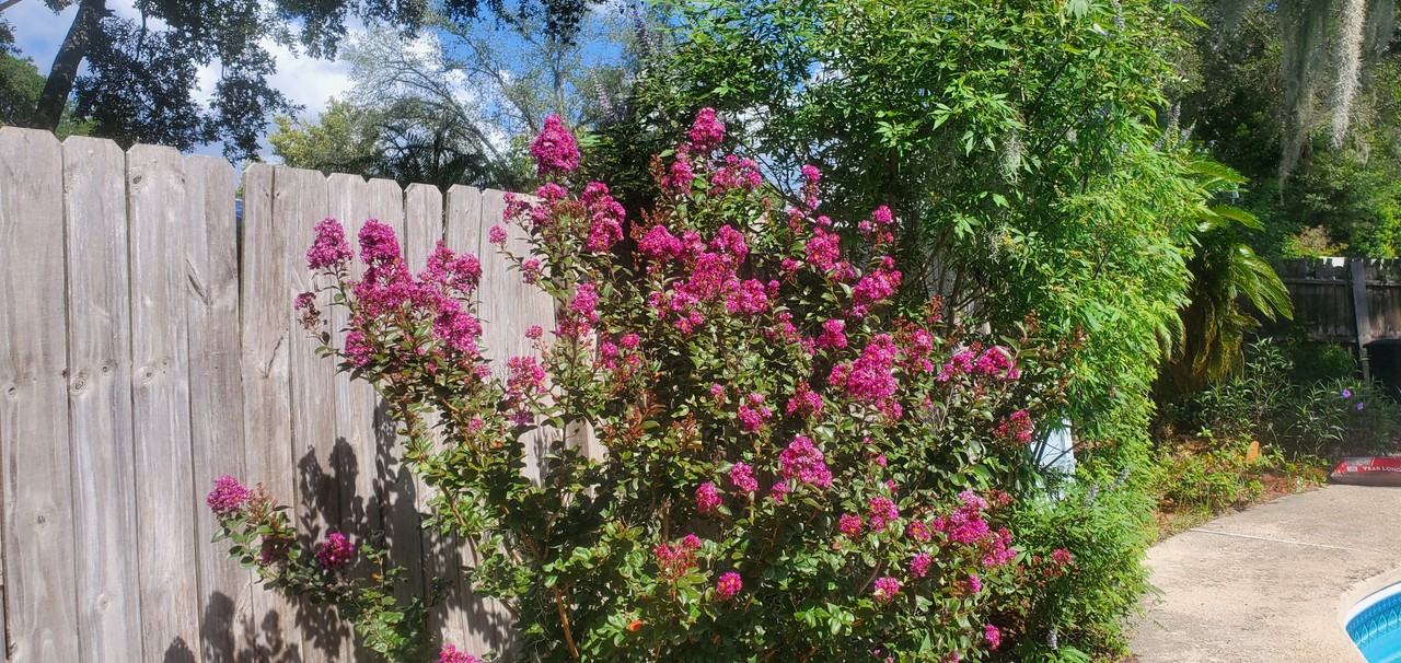 2620 Moody Ave #NA - Photo 6 of 41