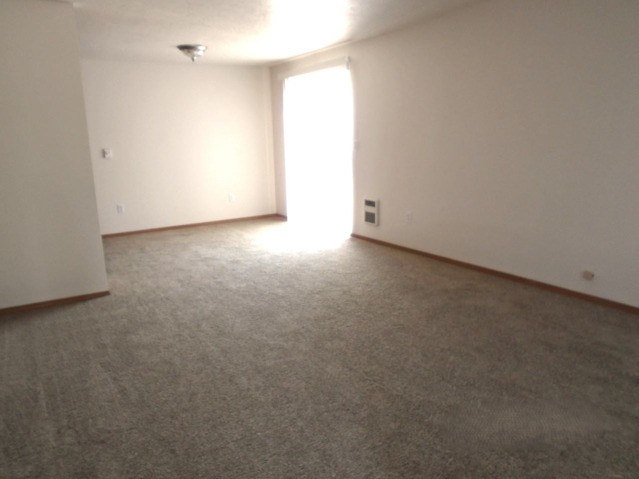 374-Shamrock #374 - Photo 3 of 13