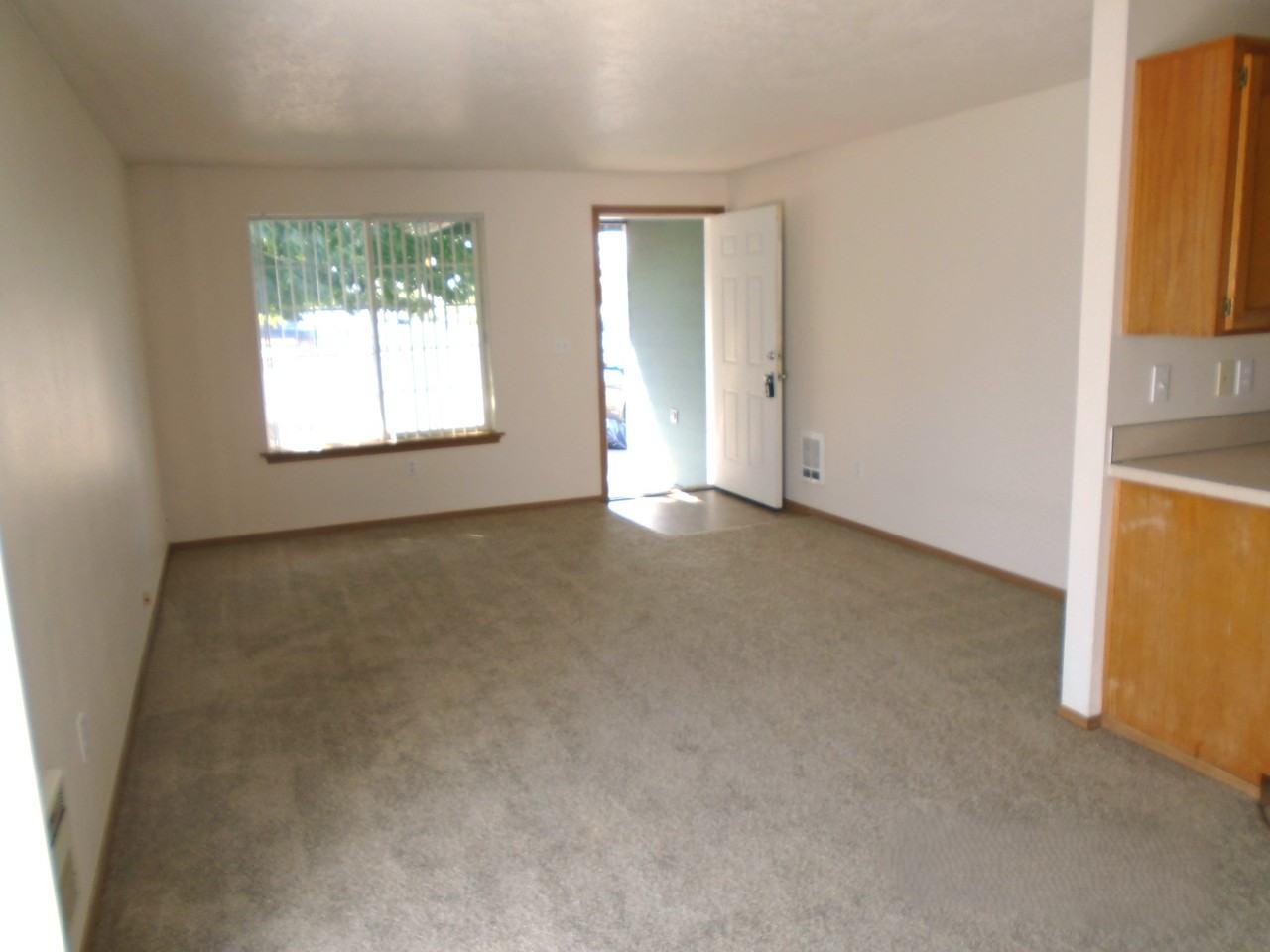 374-Shamrock #374 - Photo 4 of 13