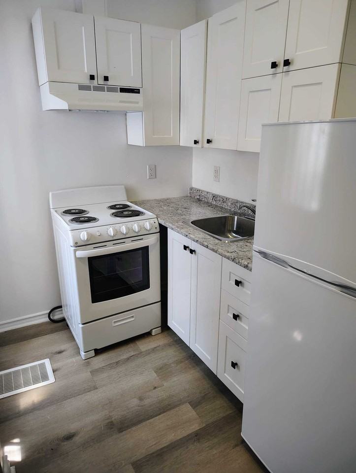 494 Somerset Street West - Photo 7 of 20