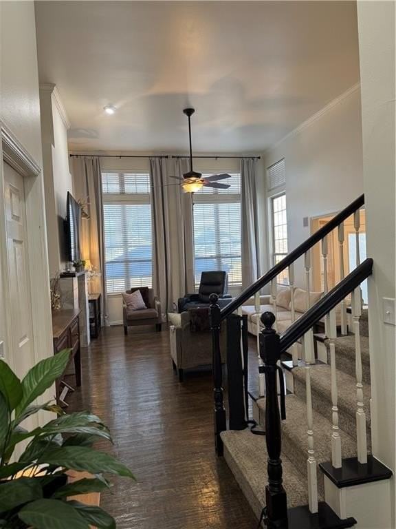 101 Fox Glove Ln - Photo 5 of 50