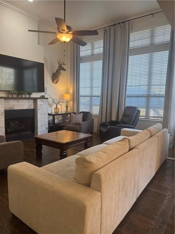 101 Fox Glove Ln - Photo 6 of 50