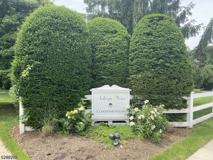 349 Bloomfield Ave #60 - Photo 1 of 1