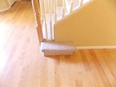 6331 Whitner St - Photo 2 of 25