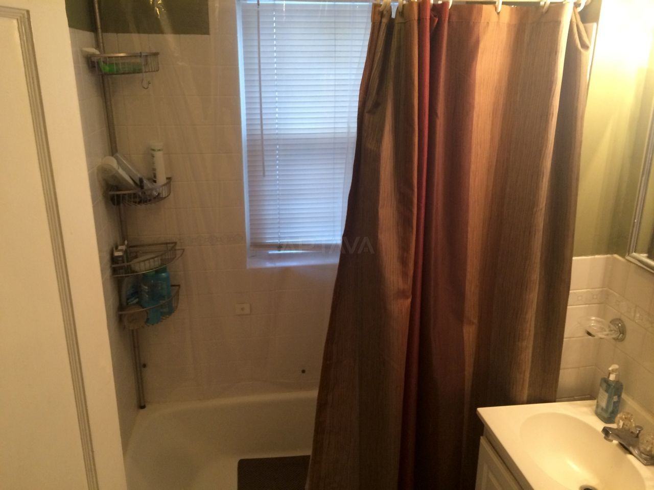 19 Hamilton St #1 - Photo 3 of 8