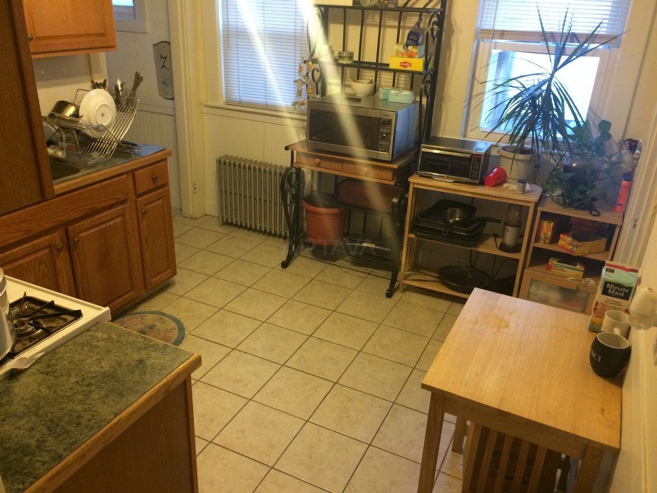 19 Hamilton St #1 - Photo 7 of 8