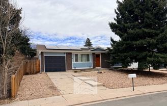 4519 Bella Dr - Photo 1 of 1