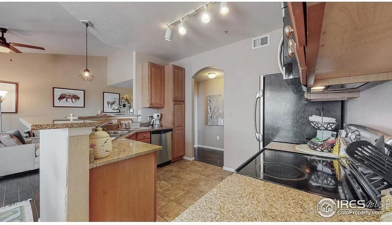 1450 Blue Sky Way - Photo 2 of 24