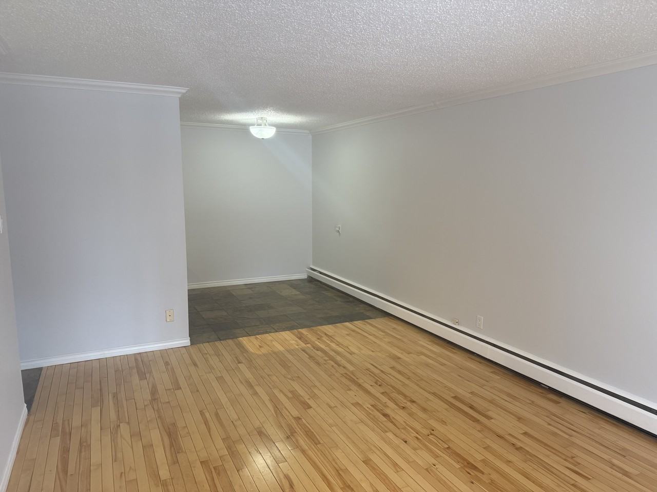 9801 113 St Nw - Photo 2 of 11