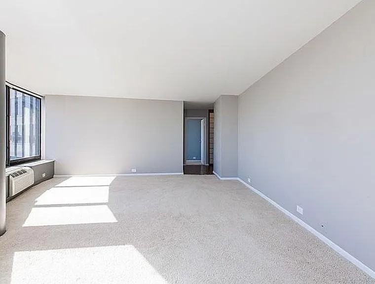 155 N Harbor Dr #207 - Photo 2 of 15