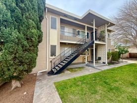 Deborah 2256 - Photo 1 of 1