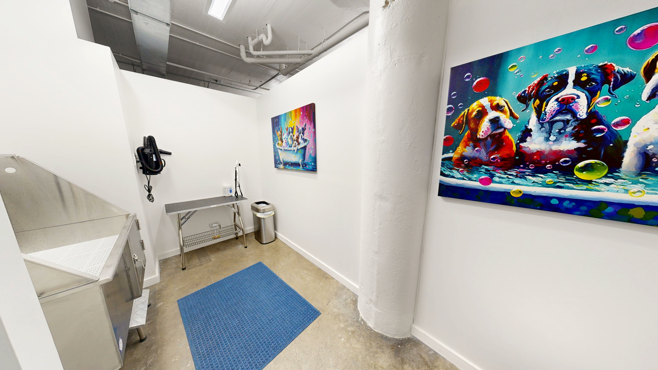 Gantry - Photo 4 of 50