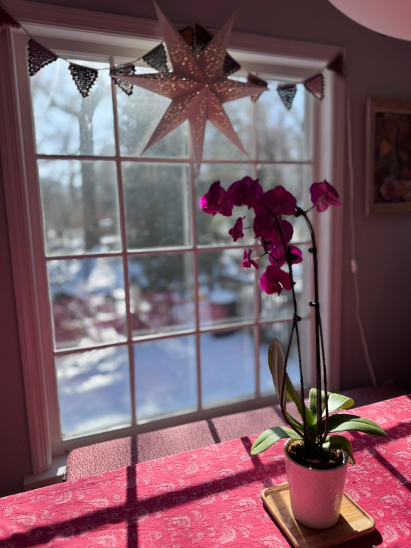 1223 Dartmouth Rd - Photo 3 of 15