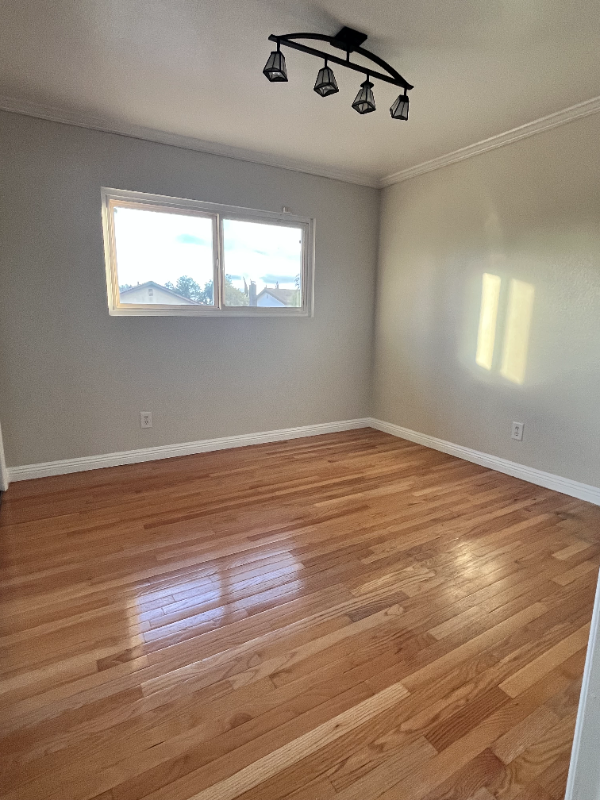 19926 Cantara St - Photo 5 of 17