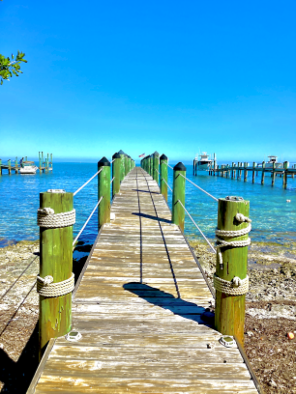 232 Tarpon St - Photo 3 of 14