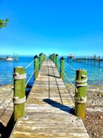 featured image of 232 Tarpon St