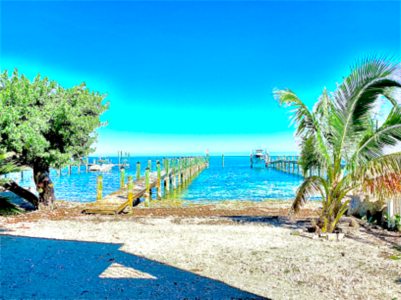 232 Tarpon St - Photo 4 of 14