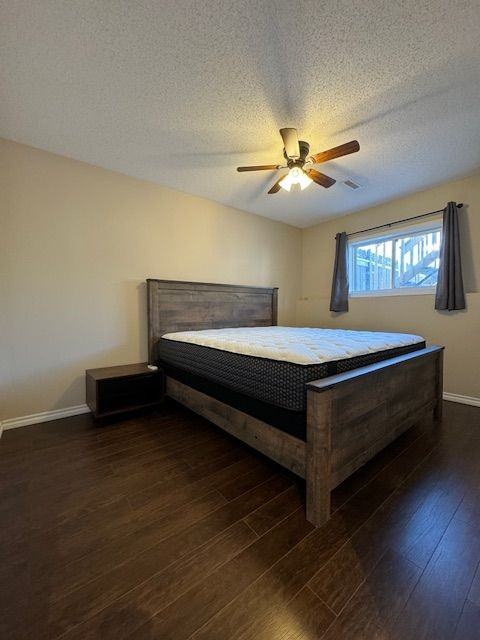 3 Bedroom | 1.5 Bathroom | 108 Imperial Street - Photo 2 of 15