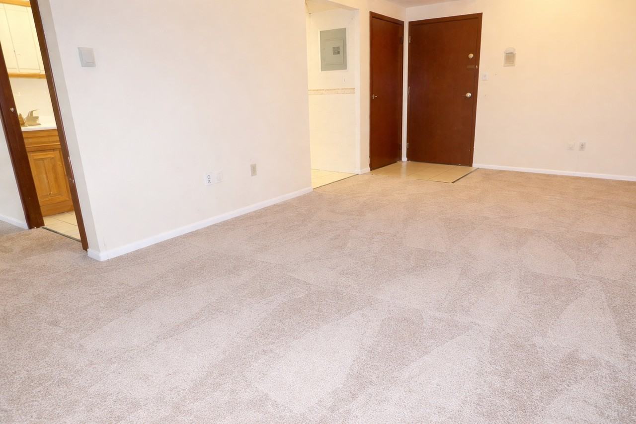 325 NORTH CRAIG STREETAPT 702 #702 - Photo 6 of 10