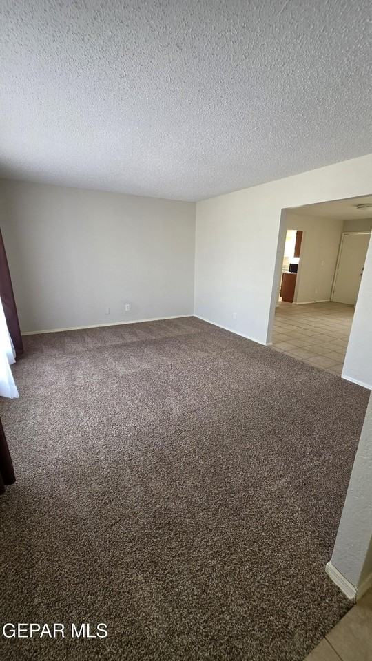 10932 George Archer Dr - Photo 2 of 12