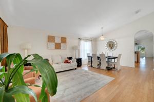 featured image of China Berry Cir