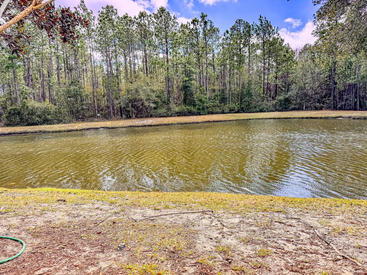 518 Scrub Jay Dr #1 - Photo 6 of 20