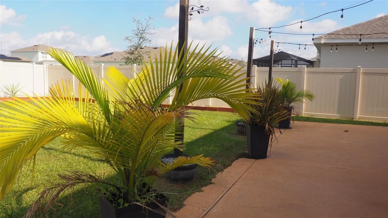 216 Denali St - Photo 6 of 39