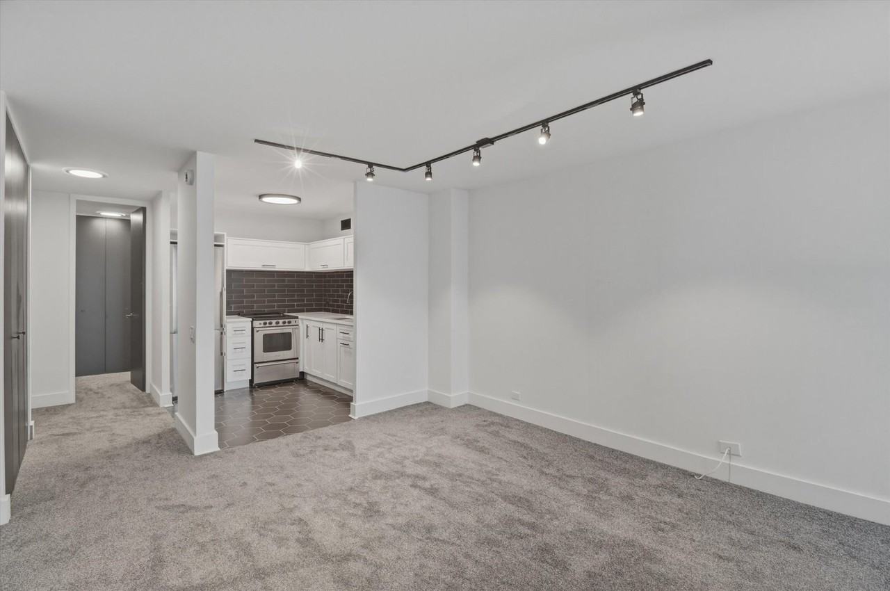 1030 N State St Apt 21a - Photo 4 of 19