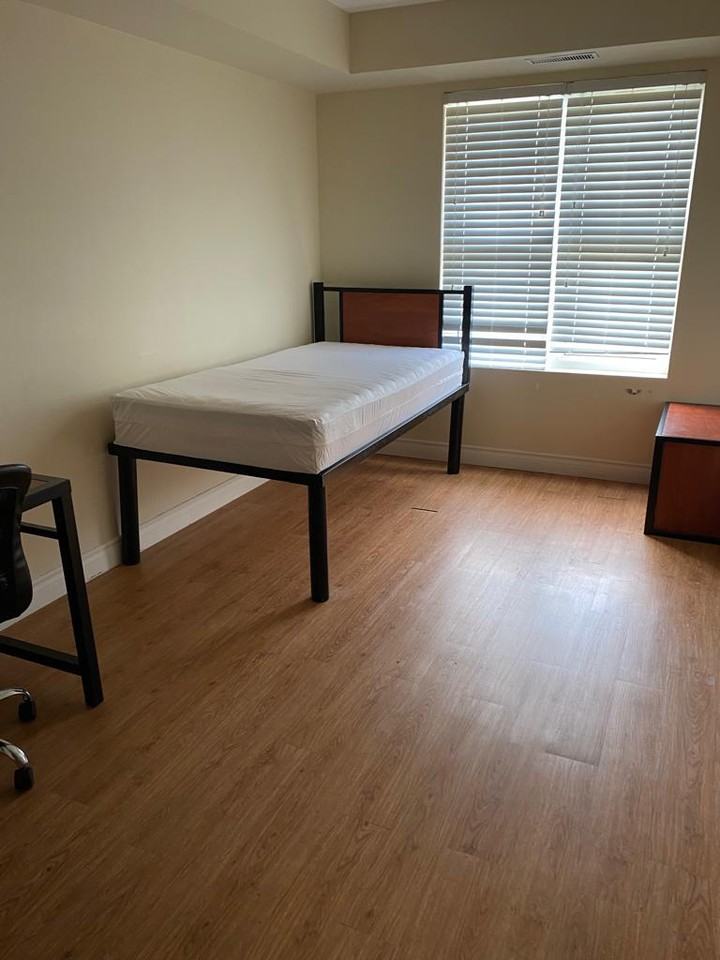 392 Albert Street #202 - Photo 7 of 7