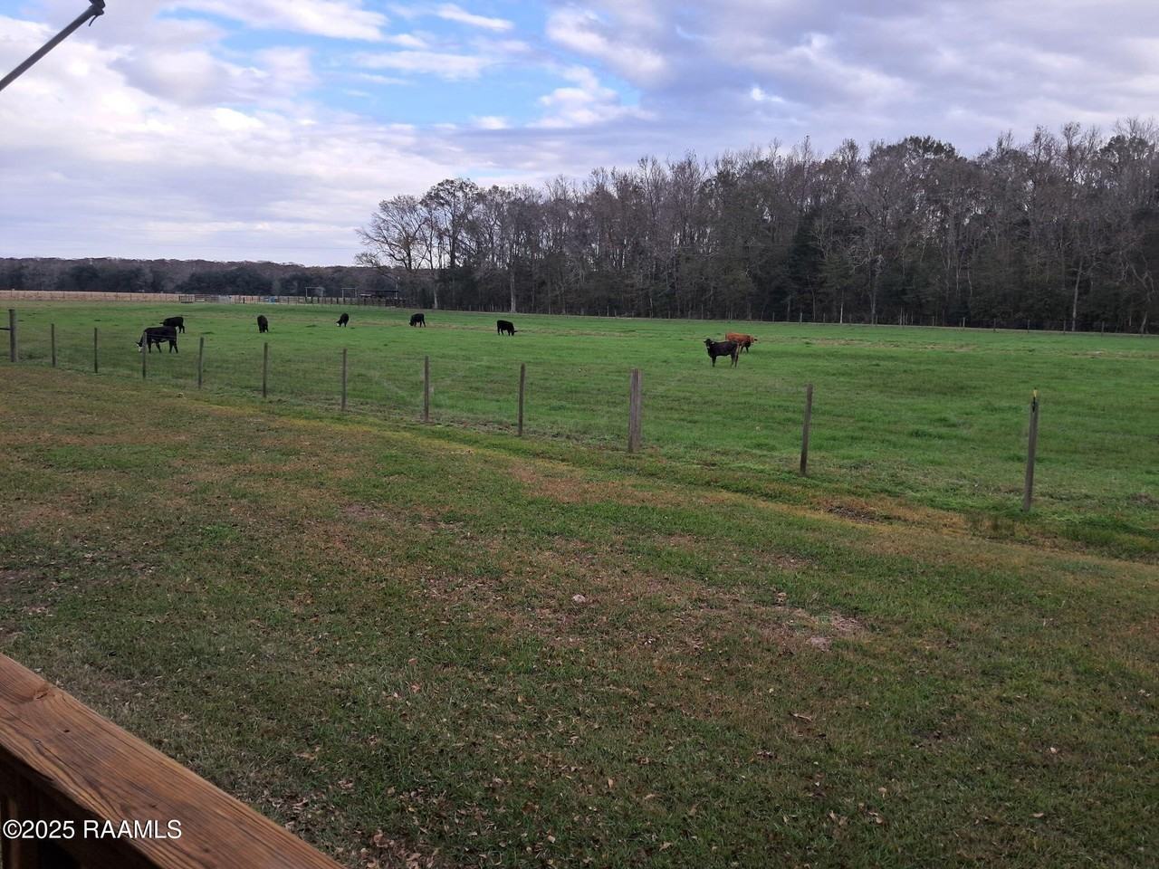 11330 Audubon Rd - Photo 4 of 44