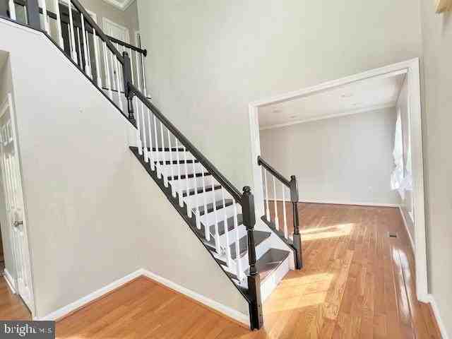 33 Christopher Way - Photo 5 of 26