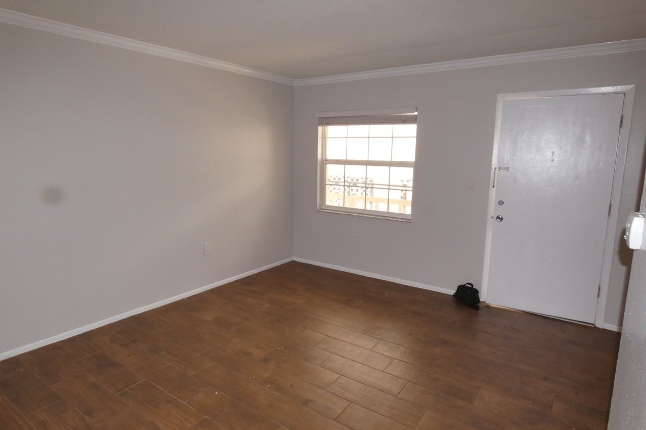 121 3rd Avenue North #302 - Photo 3 of 11