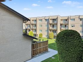 Pacific Village II Apartments - Photo 1 of 1