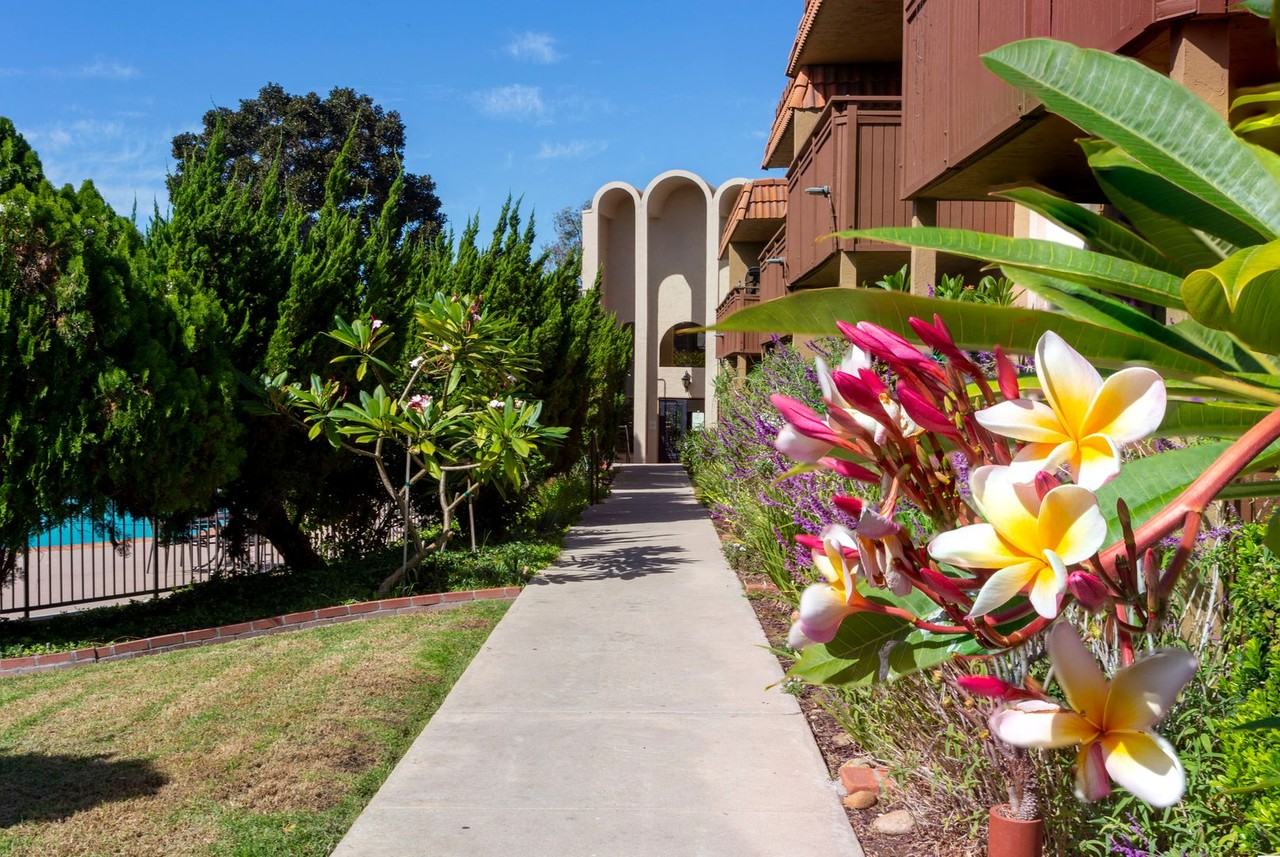 Volterra Apartments - Photo 4 of 9