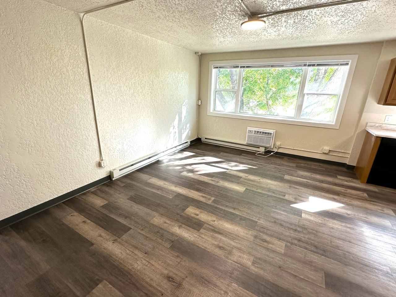 1006 North 2nd Street - Photo 3 of 12