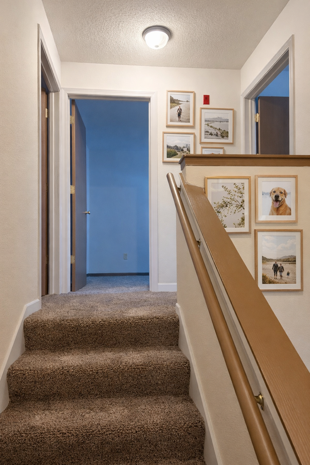 Lake Bluff Apartment Homes - Photo 4 of 16