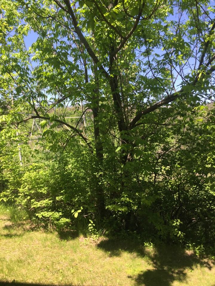 2778 Hidden Dr #NA - Photo 3 of 35