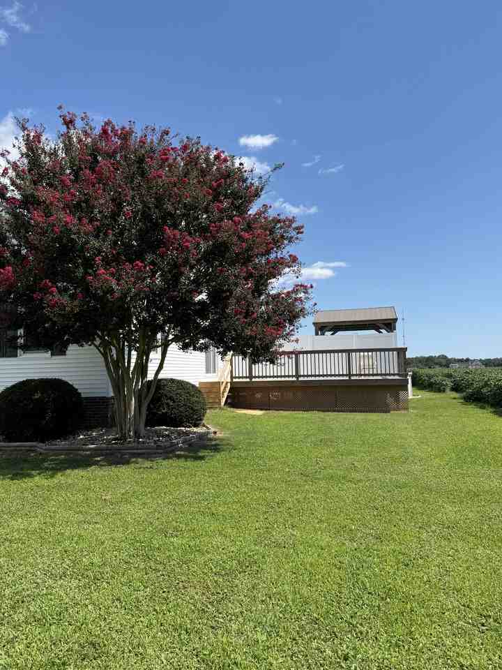 105 Ainsley Rd - Photo 5 of 31