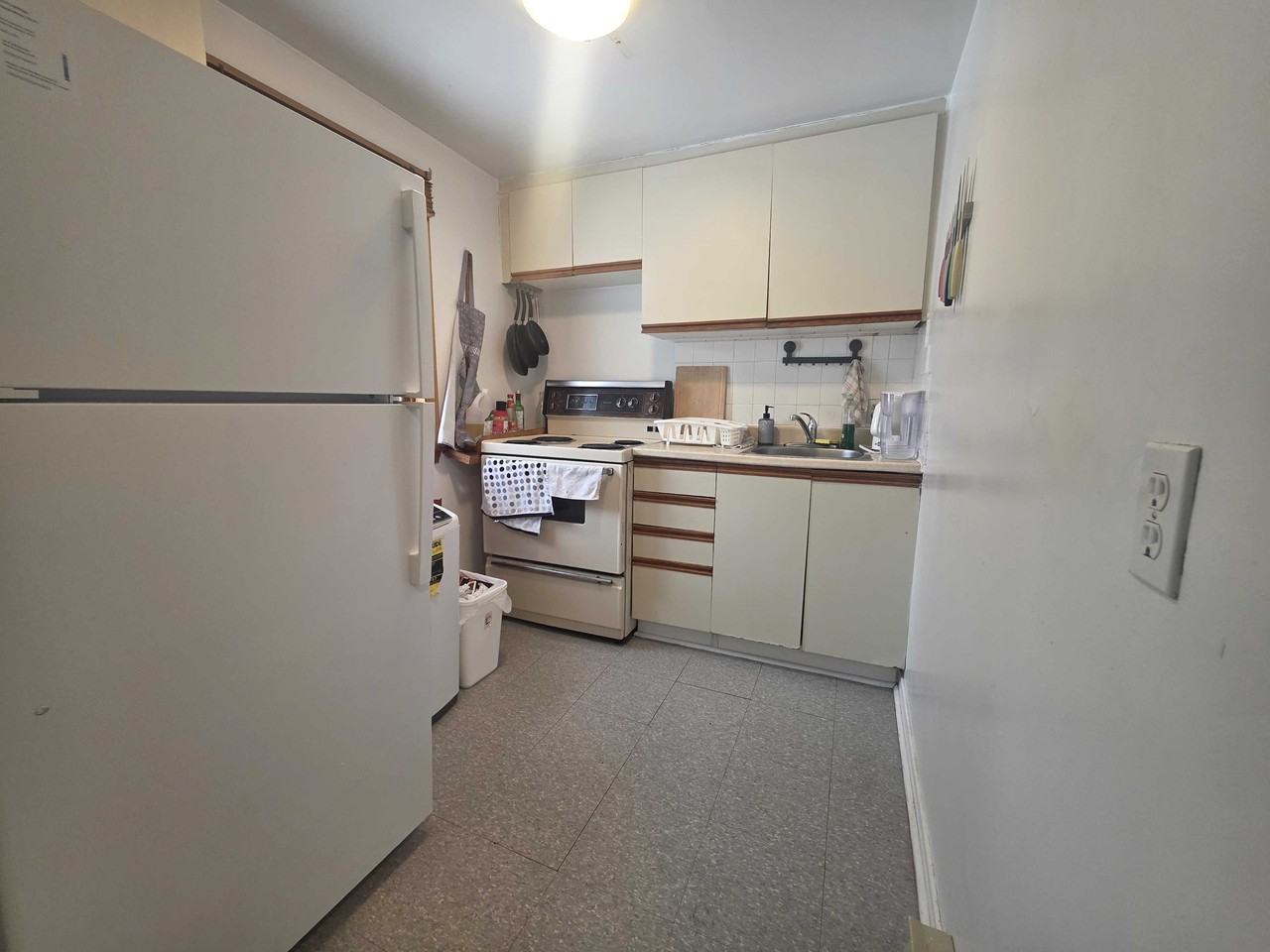 558 Albert St #558-2 - Photo 4 of 8