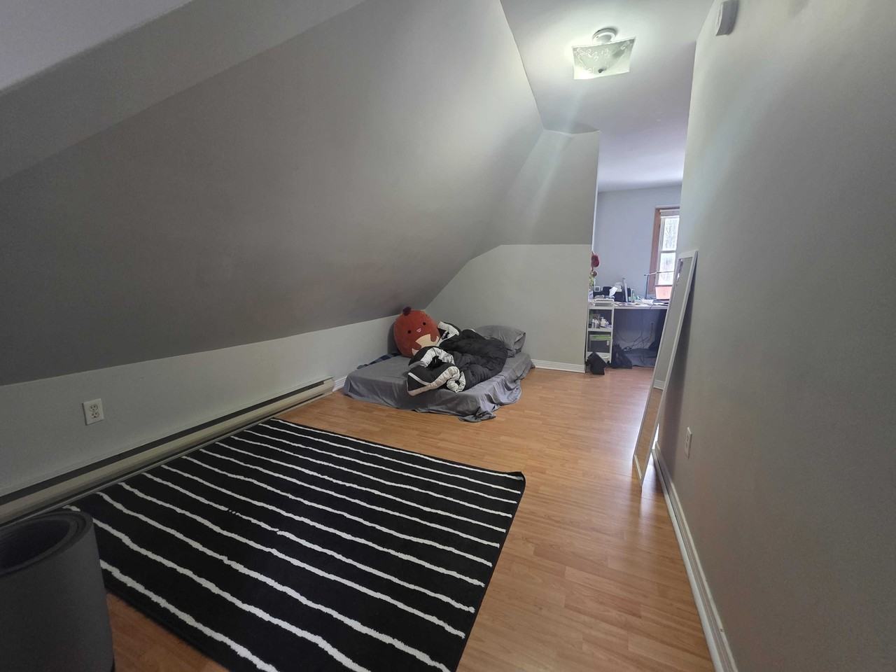 558 Albert St #558-2 - Photo 5 of 8