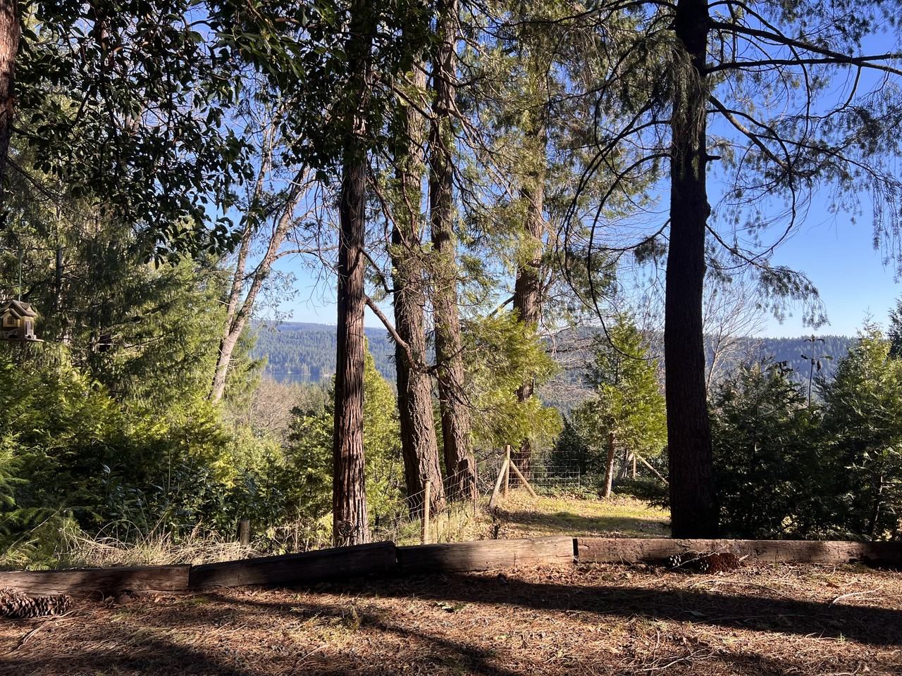 19818 Scotts Flat Rd #1 - Photo 5 of 14