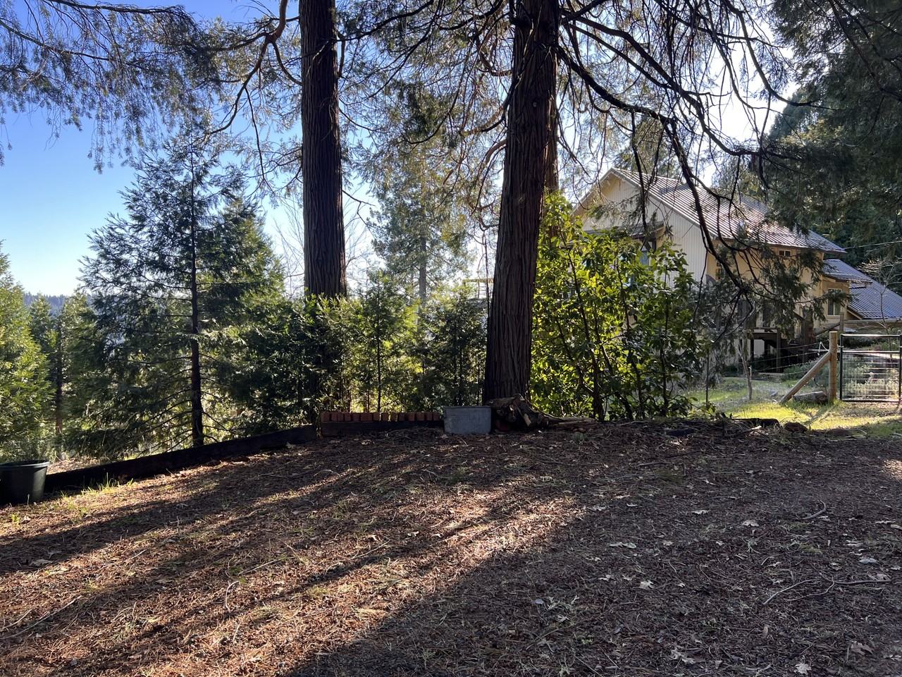 19818 Scotts Flat Rd #1 - Photo 6 of 14